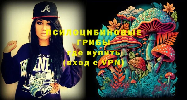 стаф Аркадак