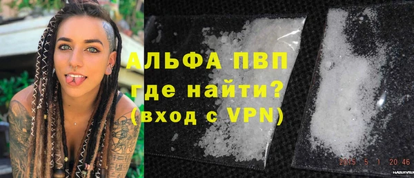 стаф Аркадак