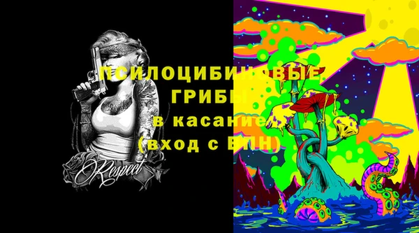 дурь Алзамай